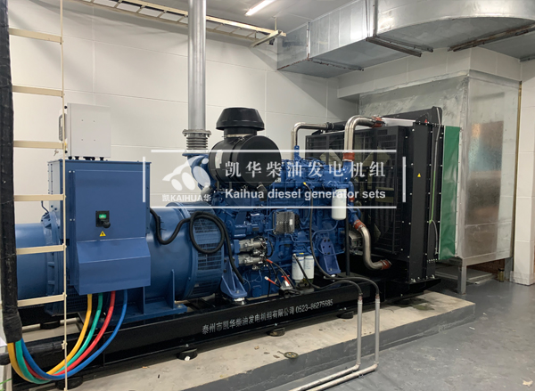 天津市政500KW玉柴發（fā）電機組成功交付